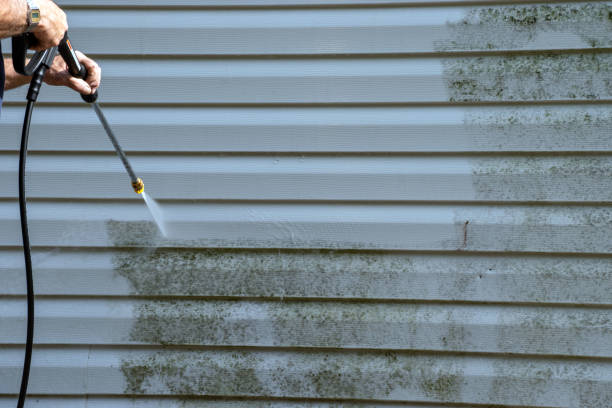 Shed Removal in Twin Lakes, NM